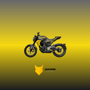 DUKARE HORNET 300 4V